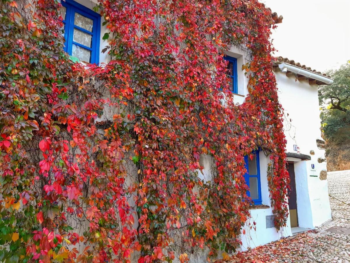 Villa Casita Collado 1 Alájar Esterno foto